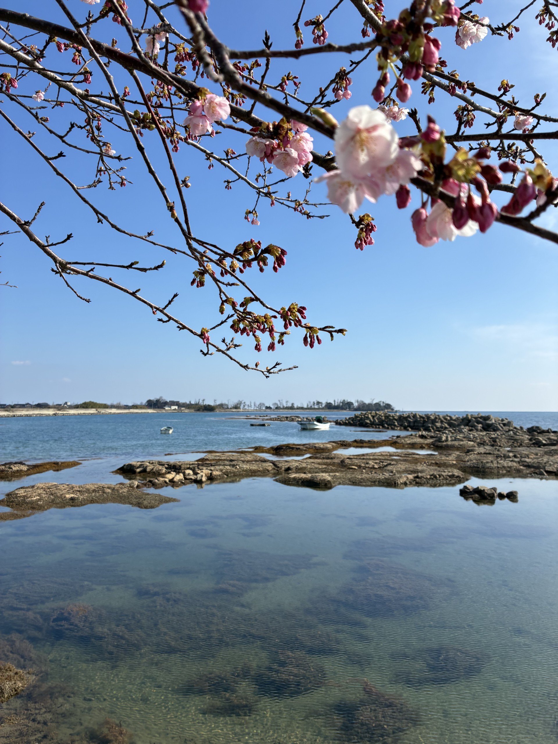 能登島で育てたお米を農家から直接お届けします
